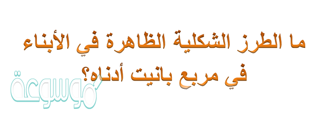 الطرز الشكلية الظاهرة في الأبناء
