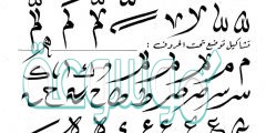 اقوى الحركات في اللغة العربية بالترتيب