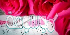 صور عيد الحب 2022 خلفيات عيد الحب الفلانتين