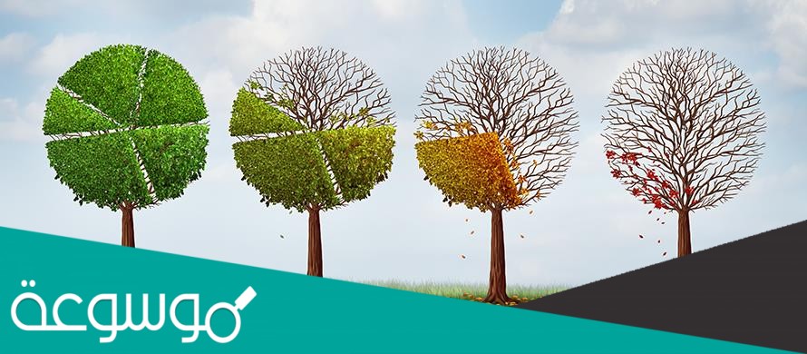عدد مناطق المناخ الرئيسية