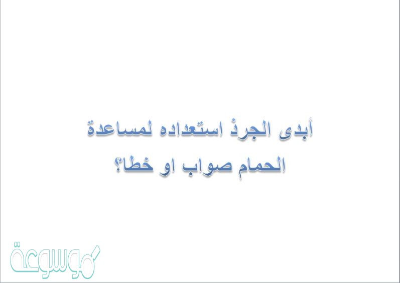 أبدى الجرذ استعداده لمساعدة الحمام صواب او خطا؟