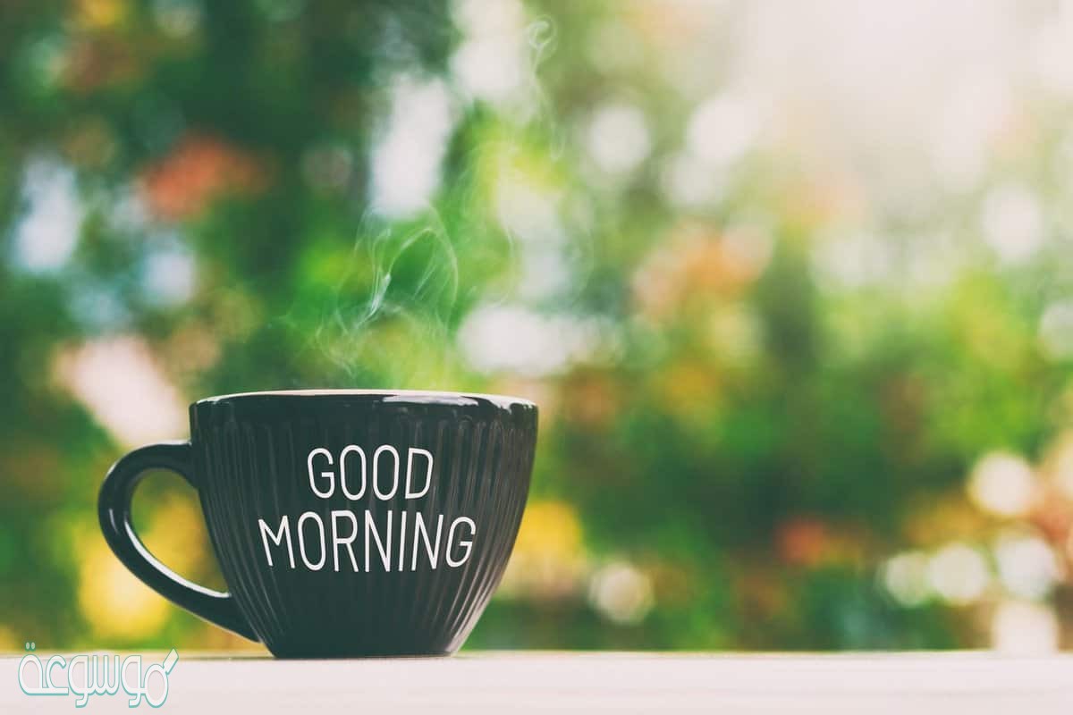 أجمل كلمات صباحية رقيقة ترسلها لمن تحب