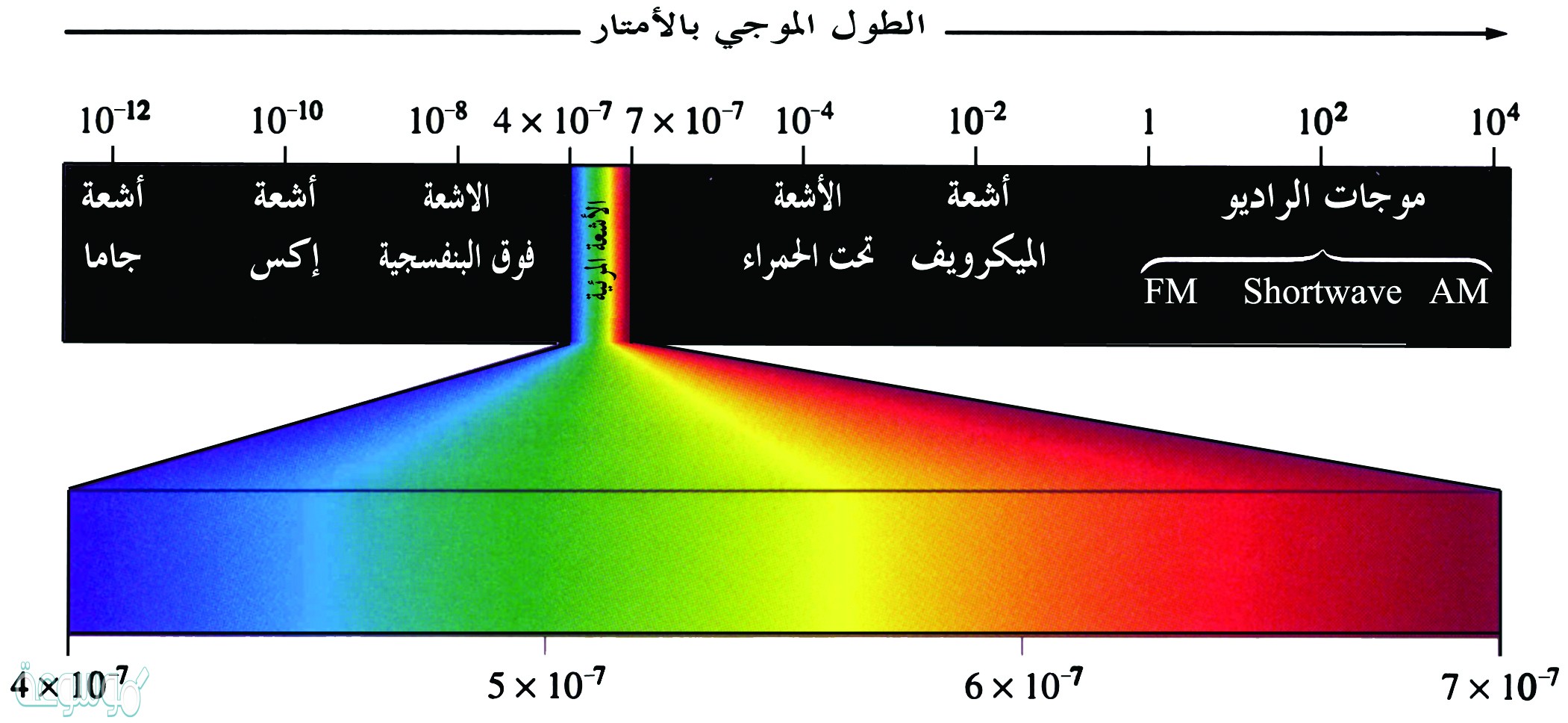 أمواج الضوء المرئي أقصر من أمواج الأشعة السينية
