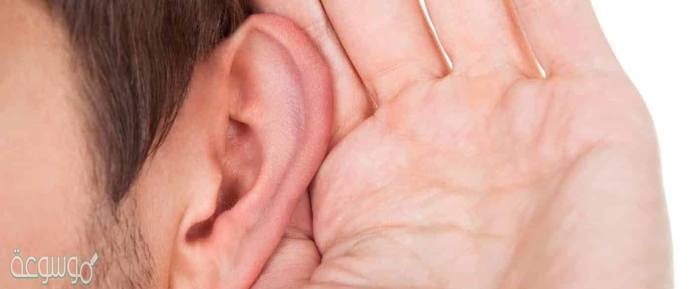 أي الأجزاء التالية جزء من الاذن الداخلية