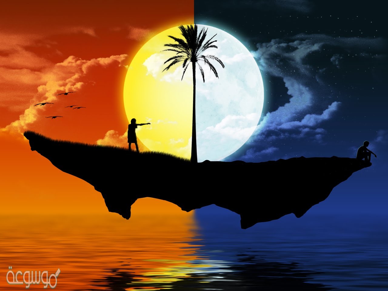 أي العمليات التى يستغرق حدوثها 24 ساعة