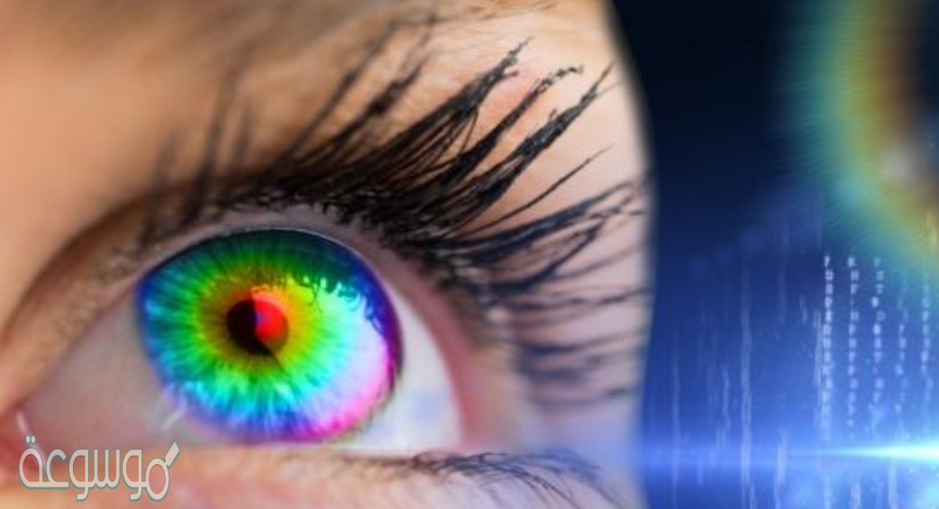 أي جزء من العين يتجمع عليه الضوء ؟