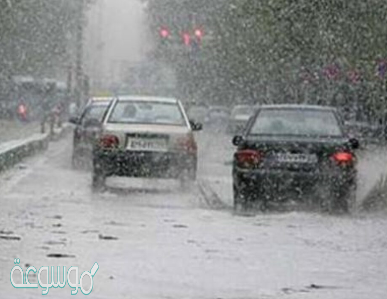 أي مما يلي ليس شكلا من اشكال الهطول الصلب