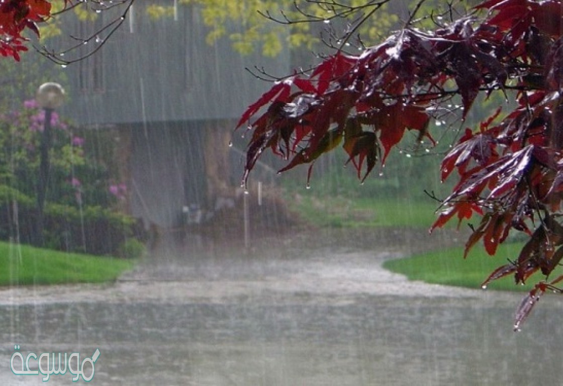 أي من الأتي ليس من أنواع الامطار المذكوره في النص