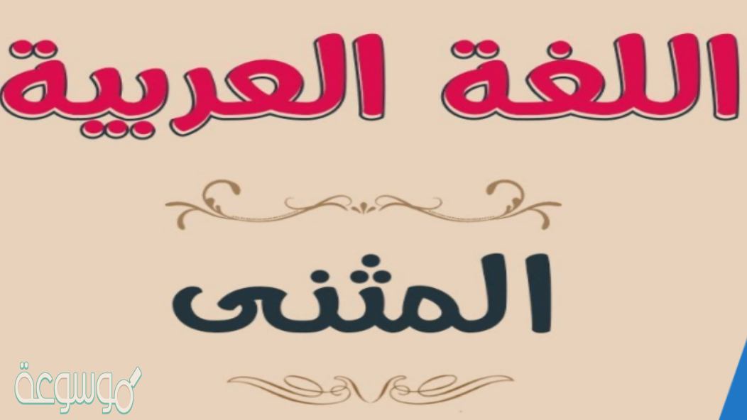 إسم يرفع بالألف وينصب ويجر بالياء