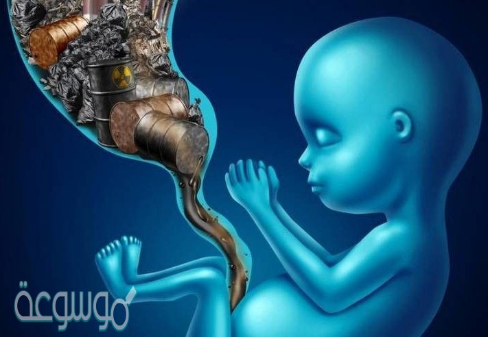 اذكر اثنين من اضرار تلوث الهواء على