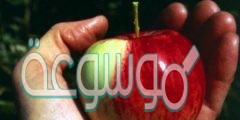 اقترحي حلولا لمنع تغيير لون التفاح المقشر