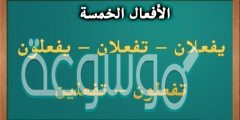 الأفعال الخمسة في اللغة العربية ~ تقرير شامل بالأمثلة
