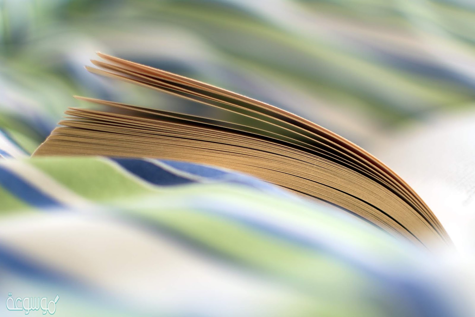 الأفعال الخمسة هي كل فعل اتصلت به