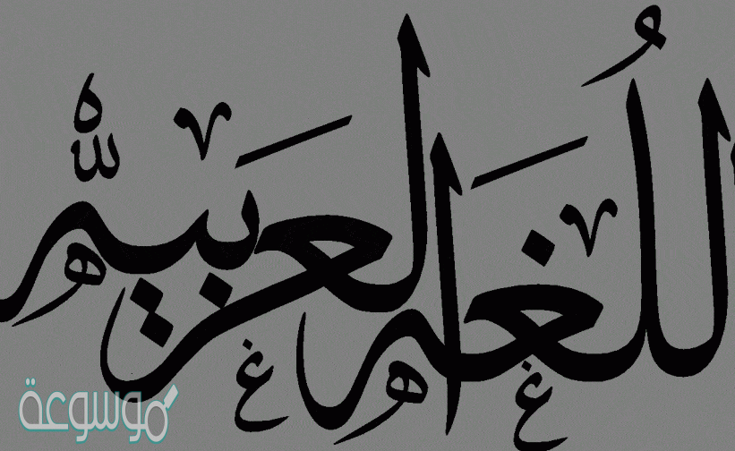 الاسم الذى ينتهى بياء غير مشددة مكسور ما قبلها يسمى