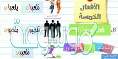 الافعال الخمسه هي كل فعل مضارع اتصلت به مع الأمثلة