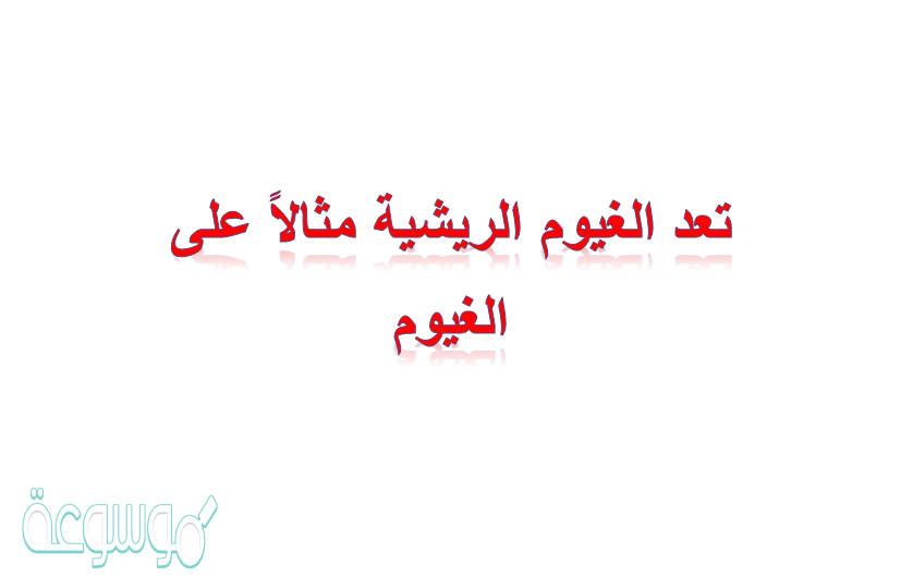 تعد الغيوم الريشية مثالاً على الغيوم