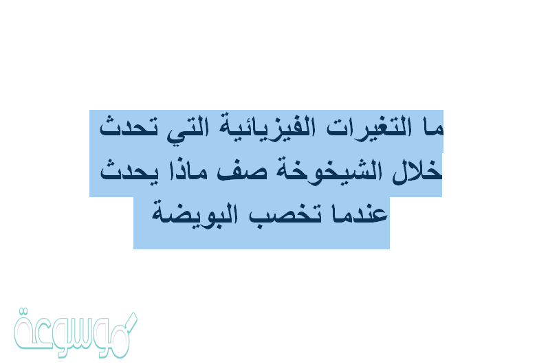 ما التغيرات الفيزيائية التي تحدث خلال الشيخوخة صف ماذا يحدث عندما تخصب البويضة