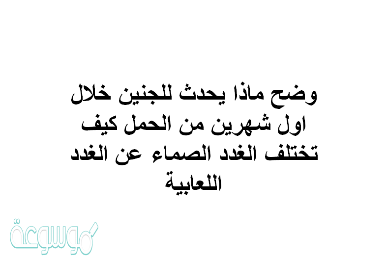 وضح ماذا يحدث للجنين خلال اول شهرين من الحمل