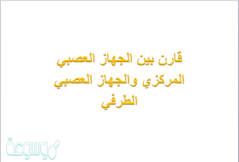 قارن بين الجهاز العصبي المركزي والجهاز العصبي الطرفي