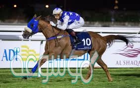 الخيول في السباق