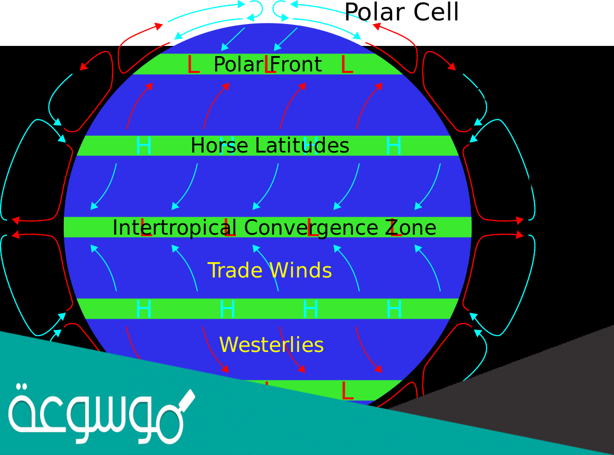 الرياح التجاريه جزء من نظام رياح يسمى