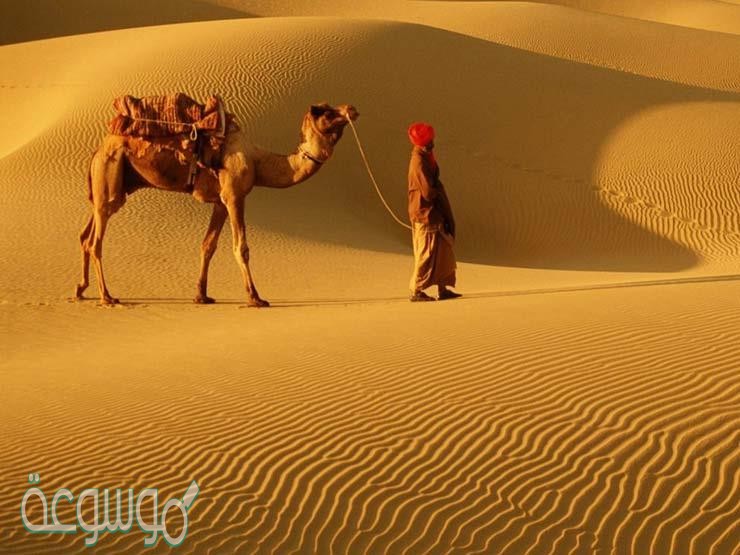 الصحابي الجليل الذي هاجر مع الرسول صلى الله عليه وسلم هو