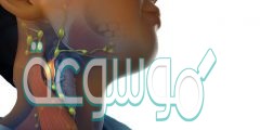 أي الغدد التاليه توجد في العنق