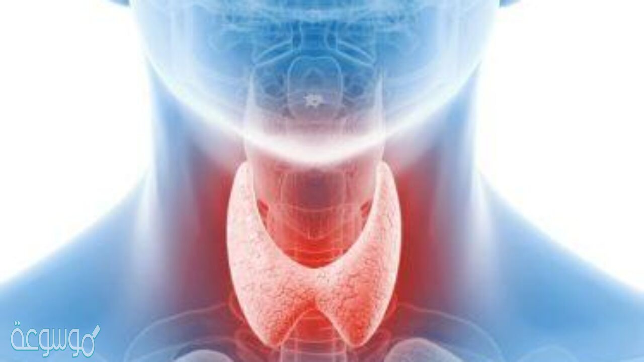 المادة الكيميائية التي تفرزها الغدد الصماء؟