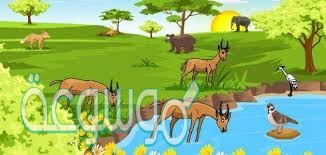 المناطق البيئية في اليابسة