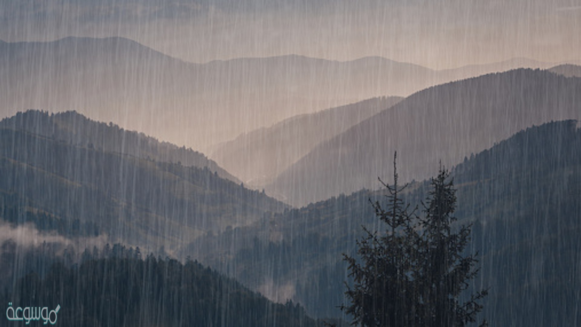 المناطق الجبلية أكثر غزارة بالأمطار من المناطق السهلية