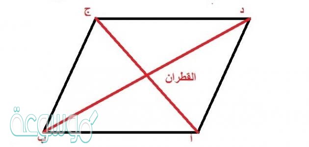  حل درس المعين والمربع اول ثانوي