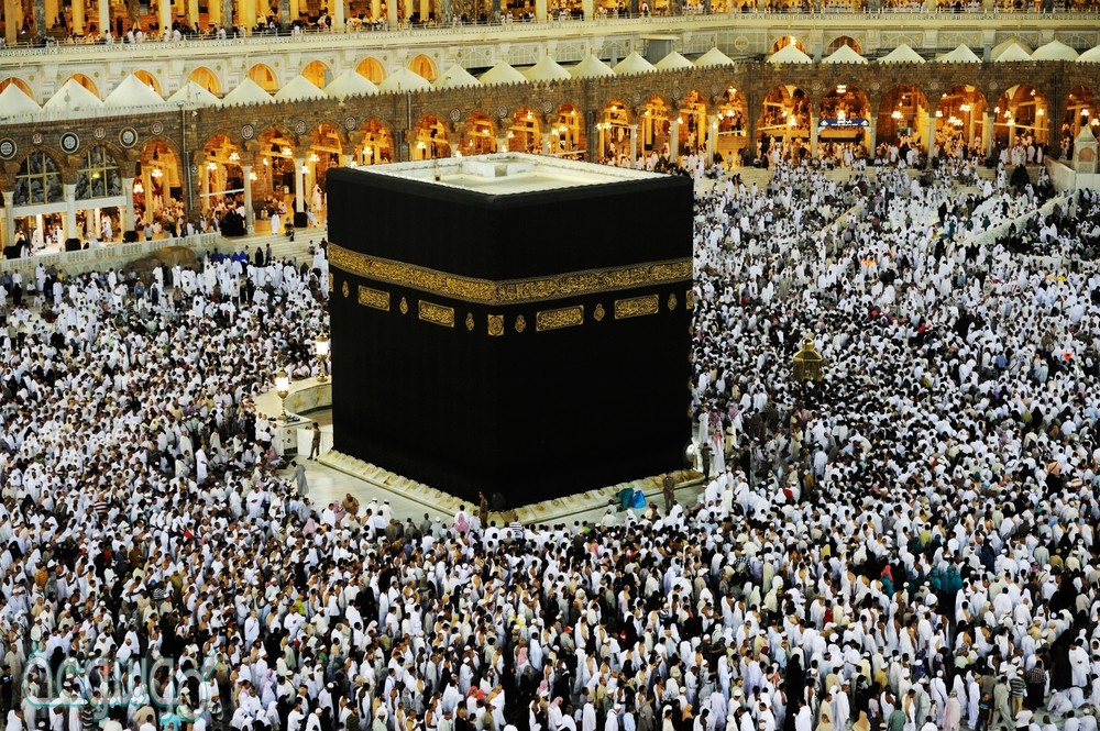 بلغ عدد من حج مع نبينا محمد صلى الله عليه وسلم أكثر من