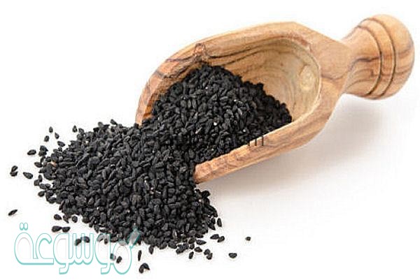 الحبه السوداء