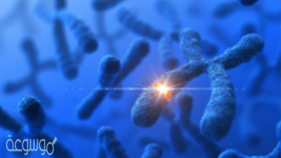 تحدث الانحرافات والخلل أحيانًا في الانقسام المنصف