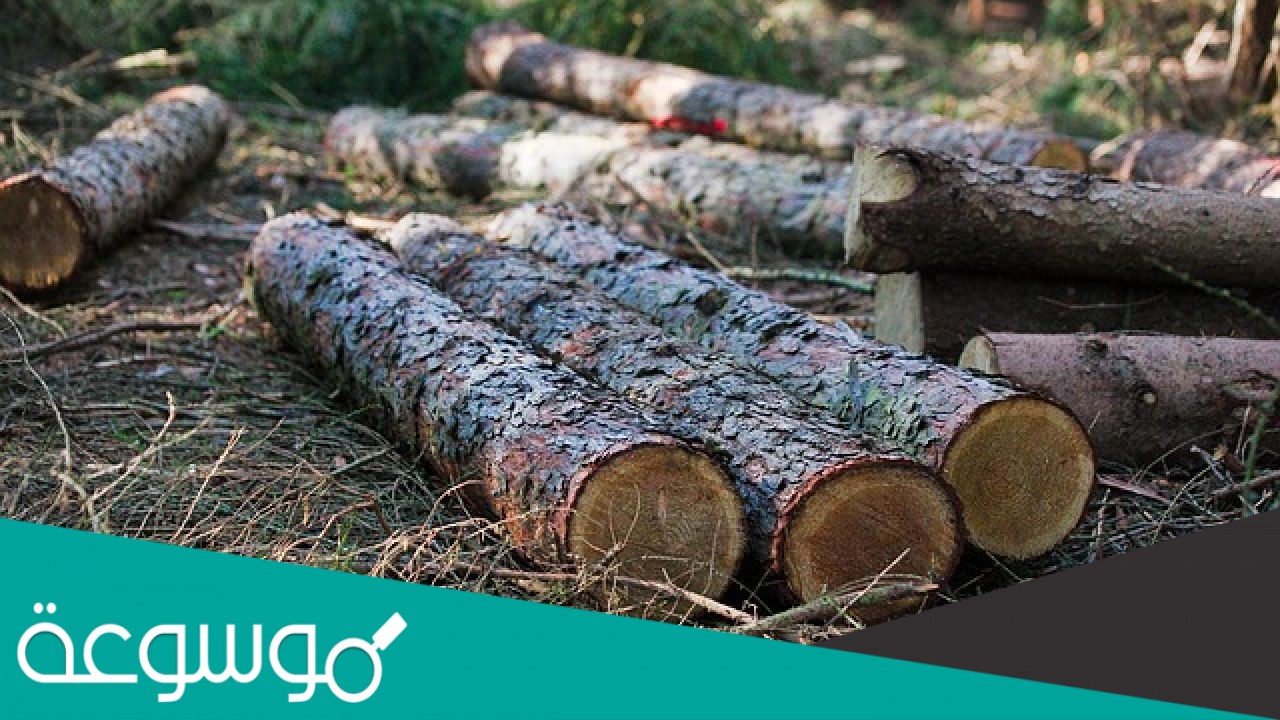 تحويل الموارد الطبيعيه الى منتجات مفيده للانسان