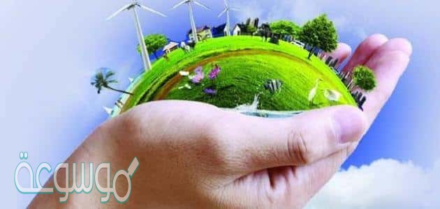 تنتقل الطاقة ضمن النظام البيئي