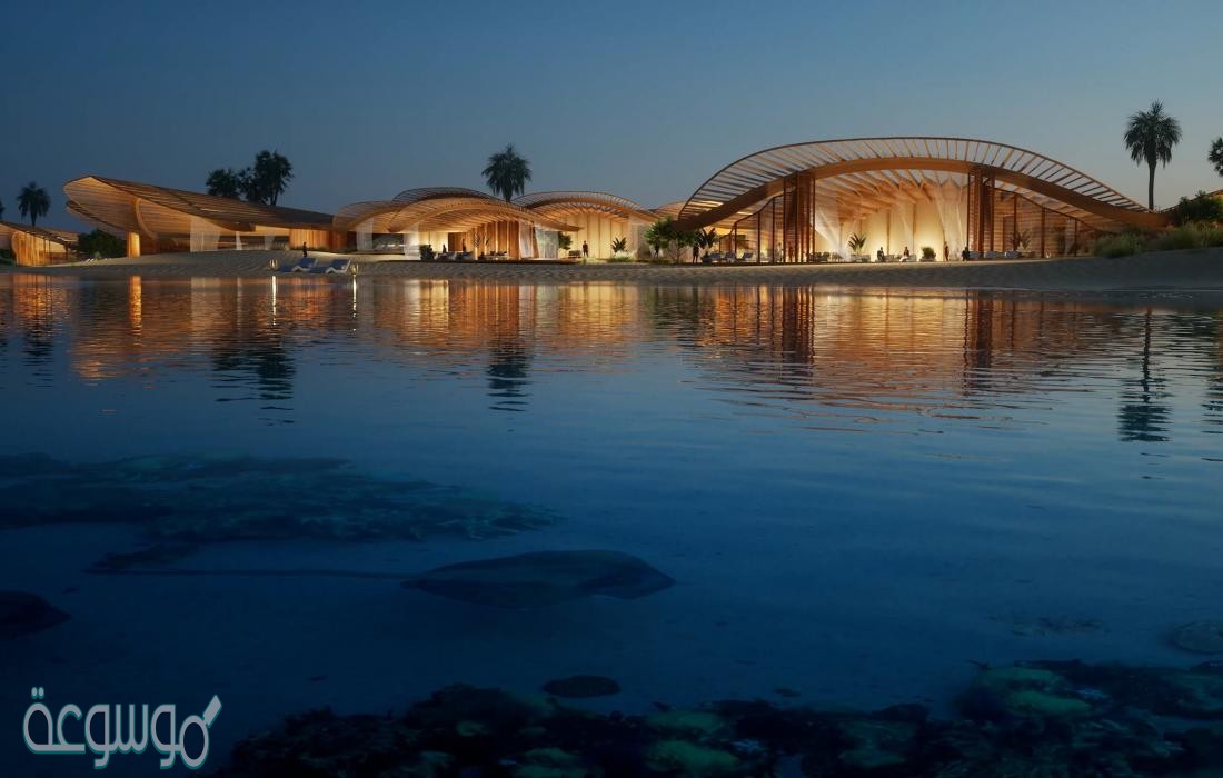 تفاصيل موقع كورال بلوم