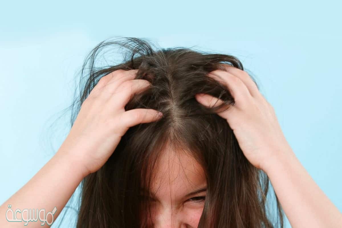 رؤيا الخنفساء في الشعر