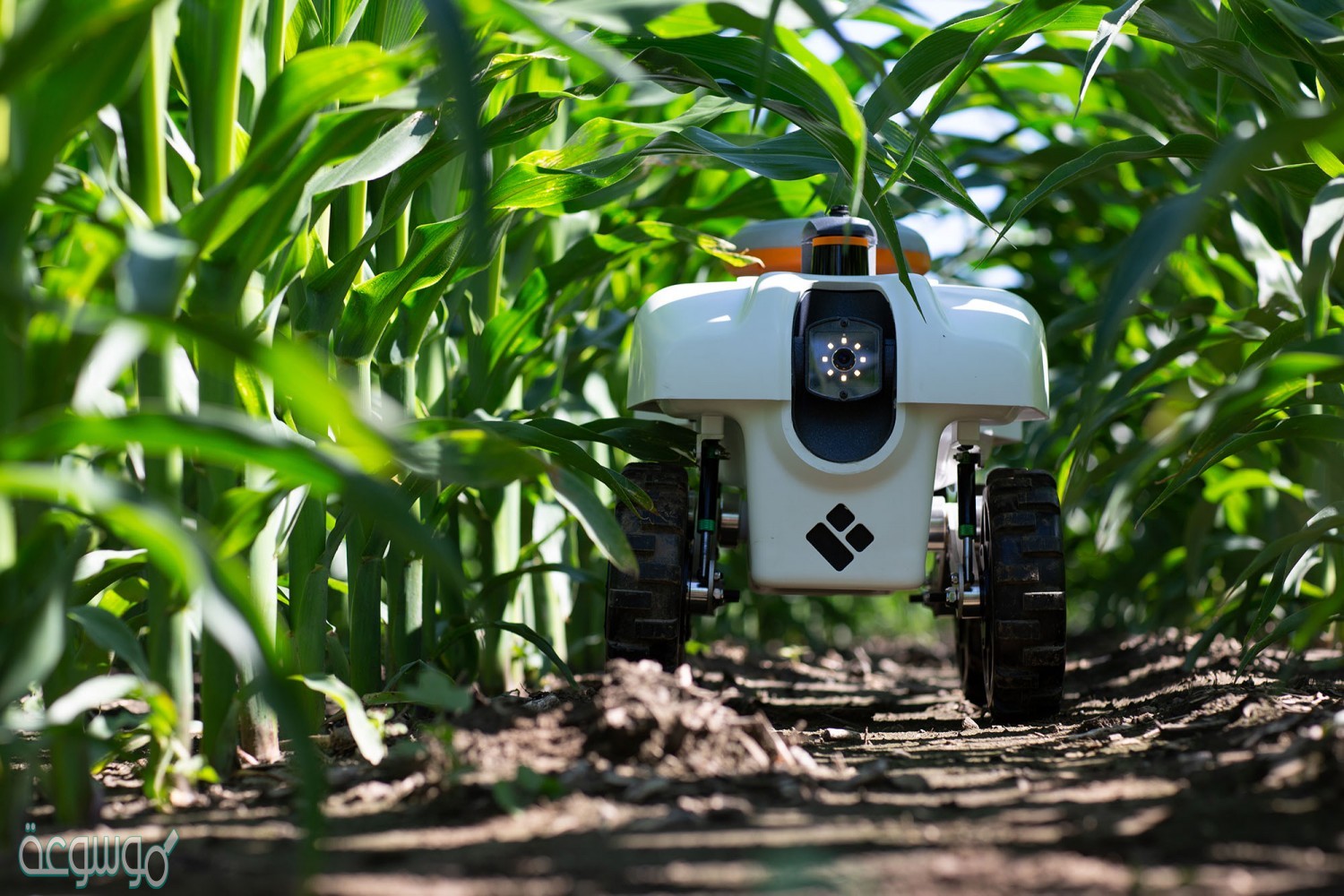 تقوم بالمهام الشاقة والتي يصعب على الإنسان القيام بها