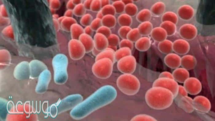 تنتج بكتيريا e.coli