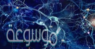 تنظم عمل الجهاز التناسلي