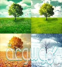 تنوع الفصول الأربعة ينتج عنه