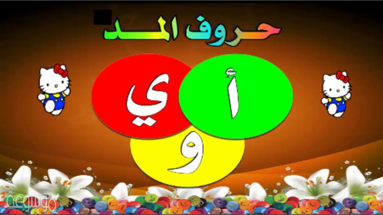 جميع حروف المد الالف والواو والياء