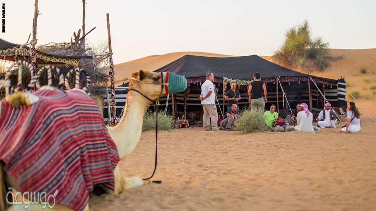 حل لغز انشدك عن رمز مع البدو موجود