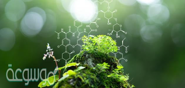 صف خصائص العلم الطبيعي