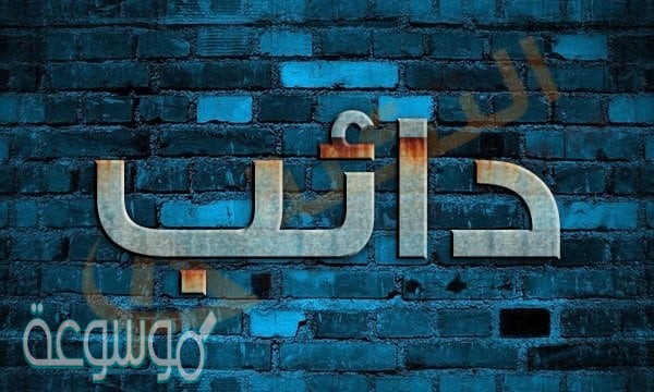 معنى كلمة دائب