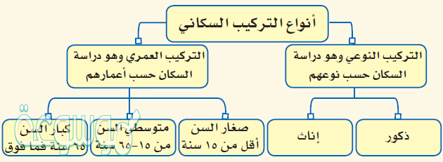 دراسة التركيب السكاني مفتاح