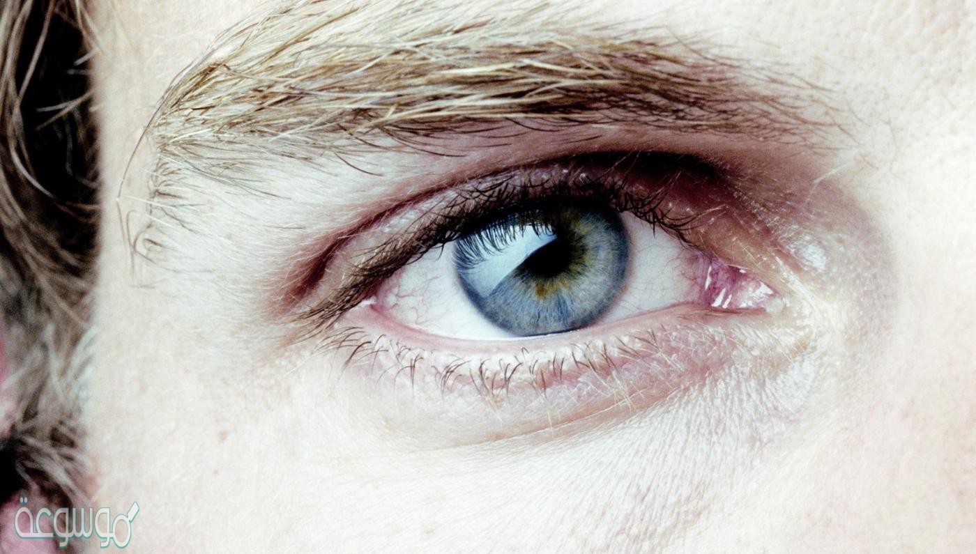 رتب تسلسل ما يحدث عند دخول الضوء إلى العين