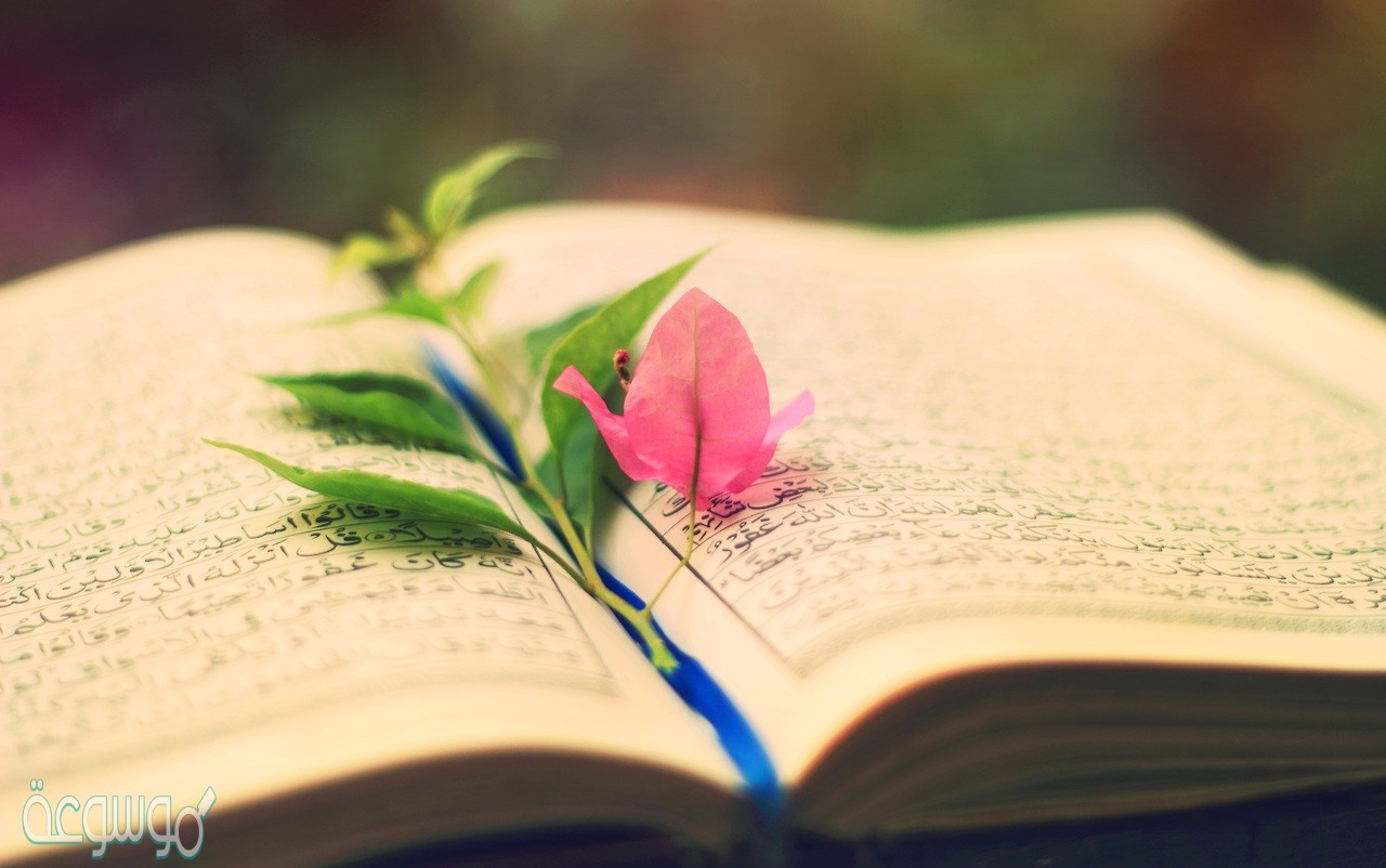 شرح حديث انا زعيم ببيت في ربض الجنة