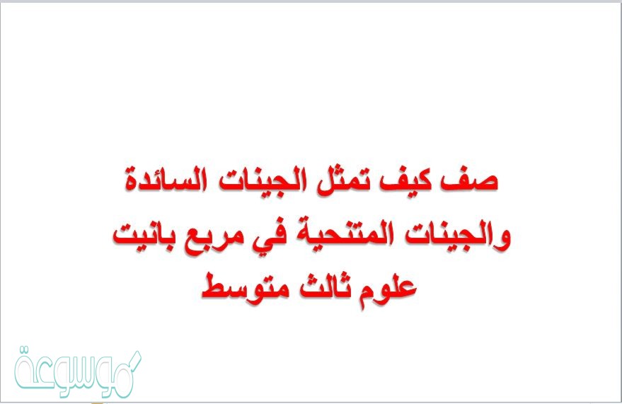 صف كيف تمثل الجينات السائدة والجينات المتنحية في مربع بانيت علوم ثالث متوسط